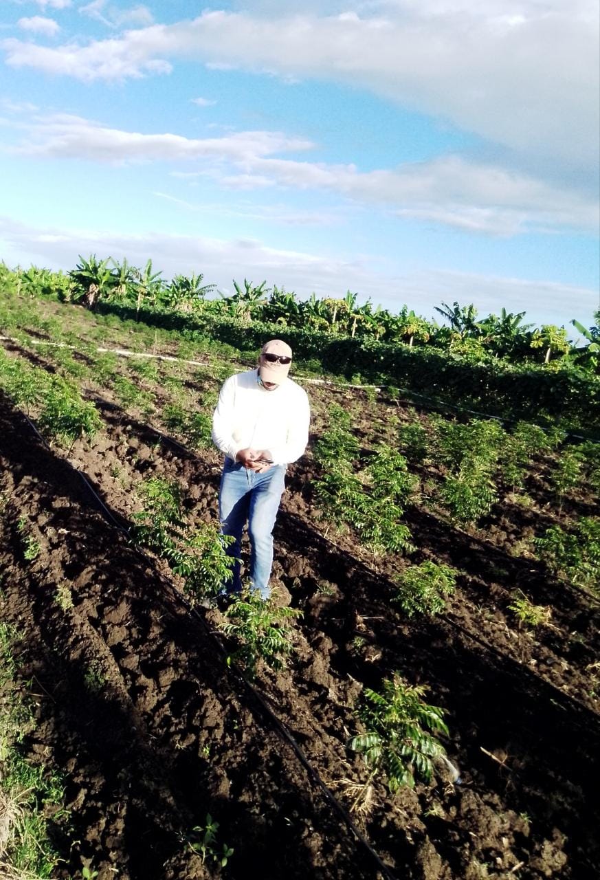 Servicio 2 de asesoría en todo lo relacionado al sector agropecuario.
